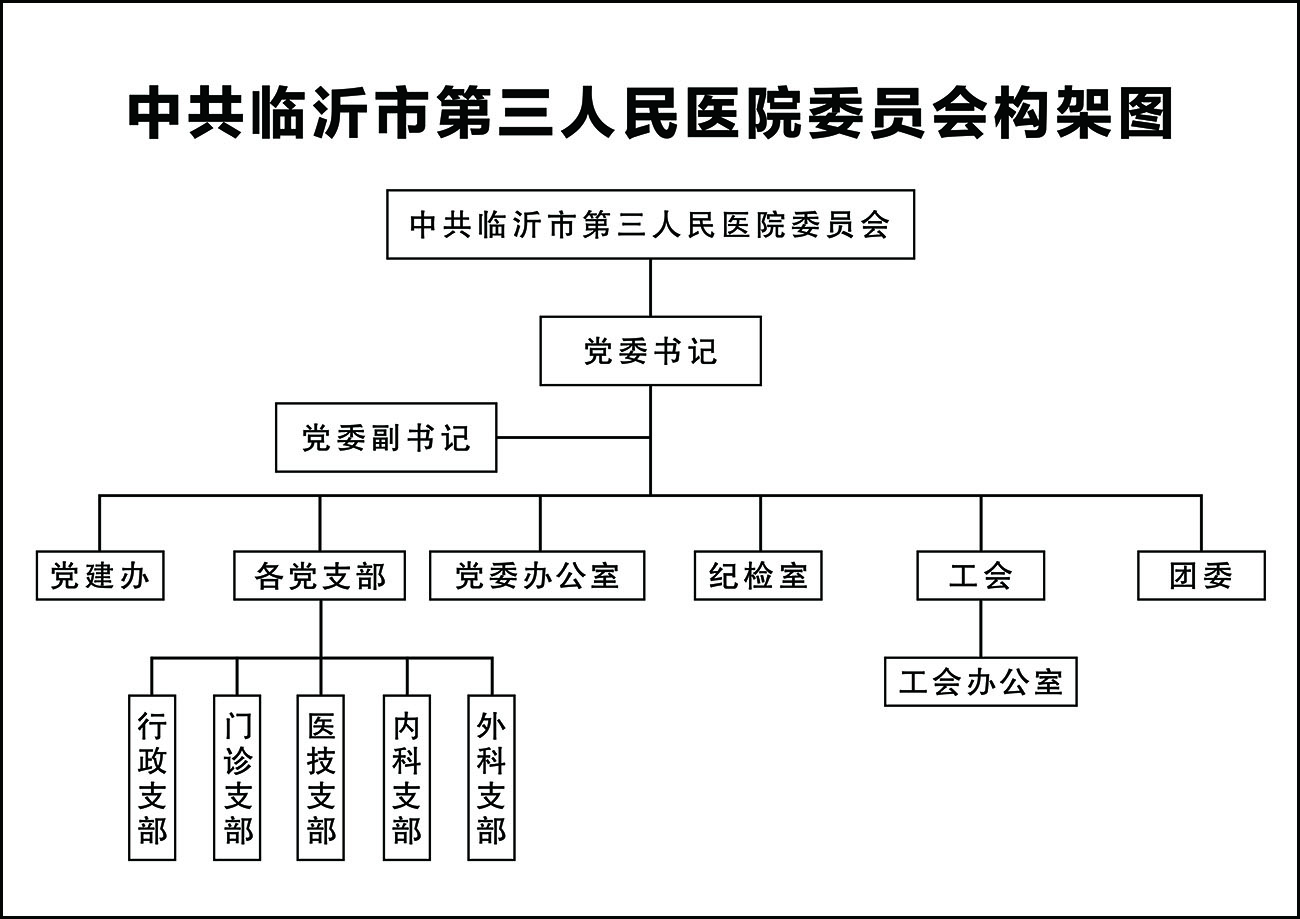 中共临沂市第三人民医院委员会构架图