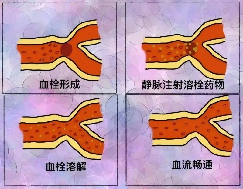 内页图.jpg 内页图.jpg