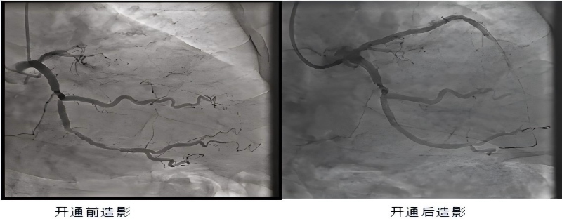 内页图.jpg 内页图.jpg