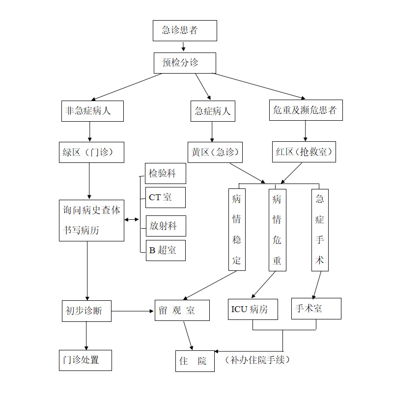 急诊患者分级救治流程(1).jpg